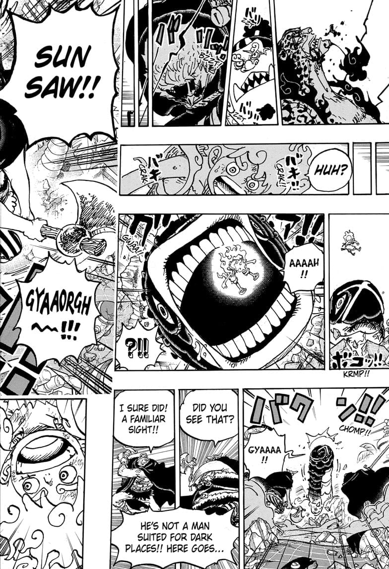 One Piece, Chapter 1110 image 16